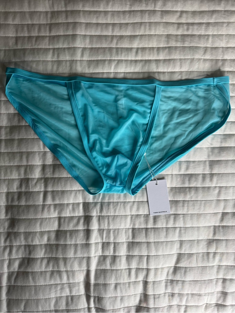 TODD SANFIELD Men's Aqua Briefs - Lightweight Mesh Underwear